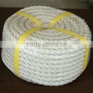 PP Multifilament 3 Strands Twisted Rope thumbnail-1