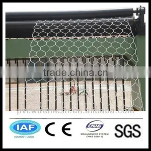 China Wholesale CE&ISO Certificated Electro Galvanized Hexagonal Wire Mesh(pro Manufacturer) thumbnail-1