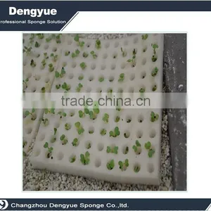 Agricultural Polyurethane High Densuty Fast Growing Plant Seed Foam/sponge Tray thumbnail-3