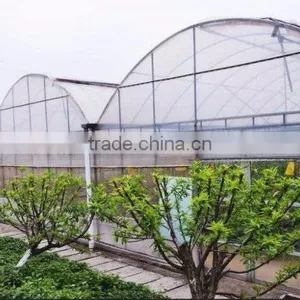 The Simple Film Greenhouse Steel Structure thumbnail-1