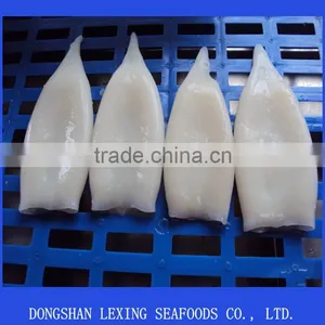 Frozen Seafood Squid Tube thumbnail-1