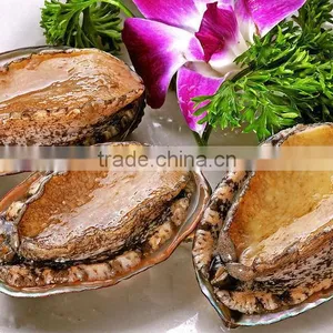 Frozen Seafood Exporter 100% Natural Frozen Abalone thumbnail-3