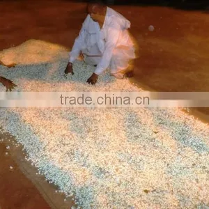 Jasmine Sambac Oil thumbnail-4