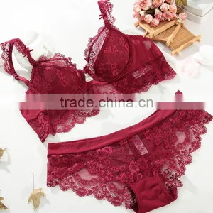 3/4 Cup Nylon & Lace Bra and Panties Set, Different Size & Hollow & Breathable, Floral, More Colors, Sol thumbnail-4
