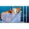 Marine VHF Antenna ( 153-163MHZ ) thumbnail-2