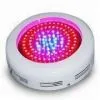 LED Grow Lighting thumbnail-1