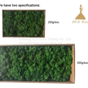 Fresh Touch Decorative Moss for Floral Compositions thumbnail-2