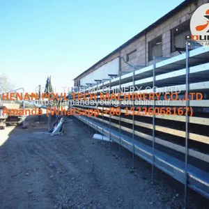 Chicken Manure Dryer Machine & Chicken Manure Treatment Machine thumbnail-1
