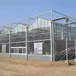 Hydroponic Glass Greenhouse Tomatoes/Lettuce Planting thumbnail-5