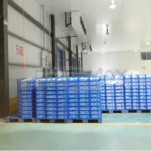 Cold Room for Fruit and Vegetables thumbnail-4