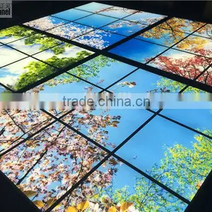 2015 Japanese Style Sakura Sky Ceiling Panel thumbnail-6