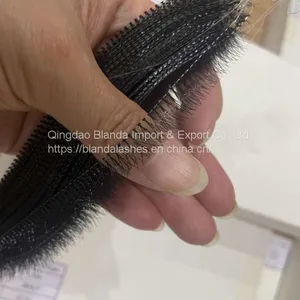 Cluster Lashes 10D 20D 8mm 10mm 12mm 14mm 16mm thumbnail-1