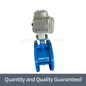 ROM Toelke Intelligent Electric Actuators Are Fine Small QC External Regulation Butterfly Valve thumbnail-3