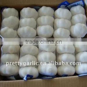 China Garlic thumbnail-1