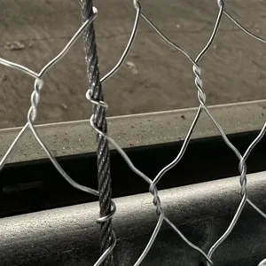 Wholesale PVC Coating HR Netting System Double Torsion Mesh Rockfall Protection Netting for Rockfall thumbnail-4