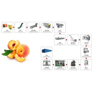 Hawthorn/fruit/ Tomato/ Pineapple Paste /juice / Can/ Jam Machine With Factory Price thumbnail-5