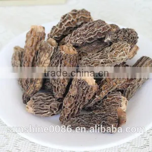 Morel Mushroom and Organic Raw Material thumbnail-2