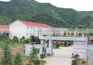 Hunan Gaofeng Ceramic Manufacturing Co., Ltd. company overview - view 2 thumbnail