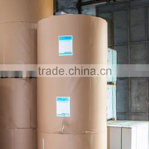 Quality Assured Wood Pulp Pe Coated Waterproof Edible Food Grade Paper thumbnail-5