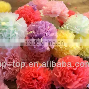 New Pom Poms thumbnail-1