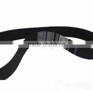 Genuine CCEC Engine K50 Spare Parts, V Ribbed Belt 3003341 thumbnail-1