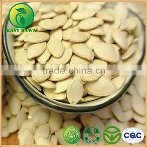 Organic Pumpkin Seeds in Shell thumbnail-1