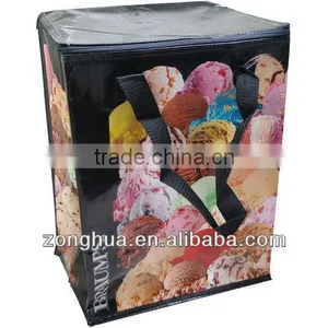 Non Woven Cooler Bag for Frozen Food thumbnail-1