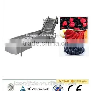 10 Ton LXJ-10 Model Showering (water Bath) Type Berry Fruit Washe(Industrial Berry Fruits Washer) thumbnail-1