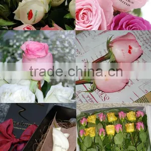 RGB White Lily Flower Printer thumbnail-4