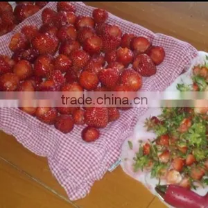 Strawberry Huller,Red thumbnail-4