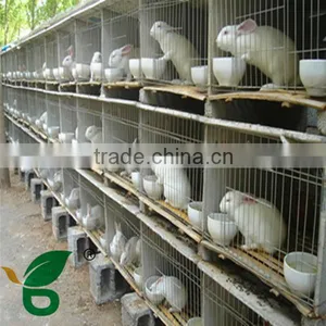 2015 The Most Popular Rabbit Cage Manufacturer thumbnail-1
