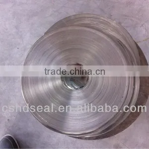 SS316 Reinforced Spiral Wound Gasket thumbnail-4