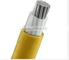 Power Cable thumbnail-1