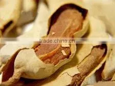 TAMARIND thumbnail-1