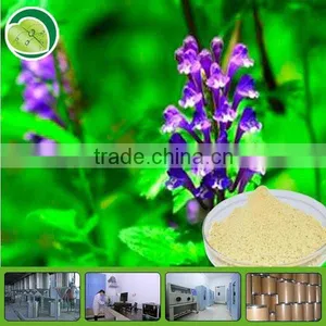 Supply Astragalus Root Extract thumbnail-1