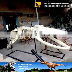 MY Dino-C078 Aquarium Life Size Fish Skeleton thumbnail-2