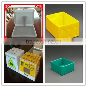 PP Corrugated Plastic Cardboard Box for Fruits and Vegetables thumbnail-1