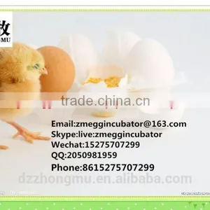 ZM-352 Egg Incubator/egg Incubator Factory /hot Sell Hatcher thumbnail-6