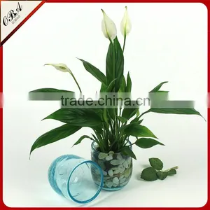 European Creative Arts Small Glass Cup Vase / Handmade Ice Crack Technology Glass Flower Vase for Home Decorative thumbnail-4
