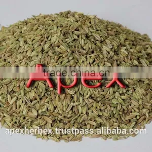 Dried Fennel Seed thumbnail-1