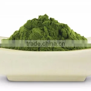 STAVIA POWDER FOR AYURVEDIC REMEDY thumbnail-1