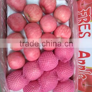 Common Cultivation Type and Pome Fruit Product Type Fresh Apple Fruit for Sale thumbnail-2