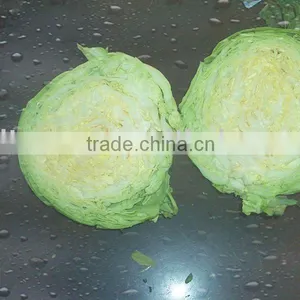 250g Fresh Green Cabbage thumbnail-1