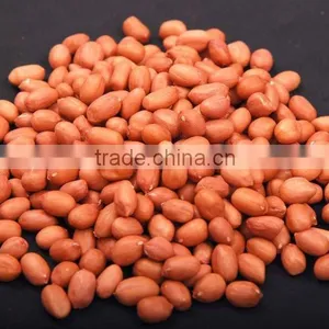 Roasted Peanuts thumbnail-3
