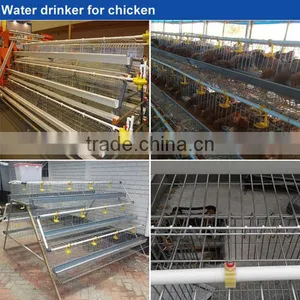 Top Selling Chicken Drinker /drinker for Chicken Drink Water /poultry Drinker thumbnail-6