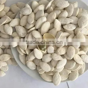 Heilongjiang Good Quality of Raw Snow Pumpkin Seed Factory Sale to Iran Market thumbnail-4