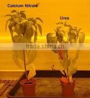 Precio Por Tonelada Prilled Urea Fertilizantes thumbnail-5