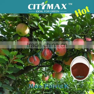 Fulvic Acid Potassium Powder thumbnail-1
