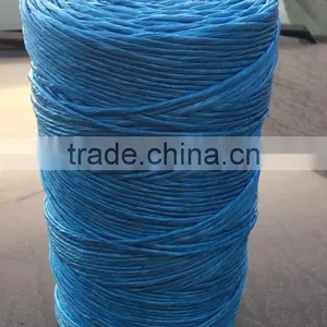 PP String Blue Color One Sub Thread 1kg Spool thumbnail-3