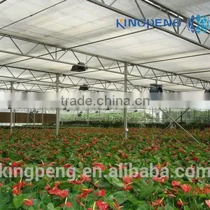 Commercial Glass Greenhouse For Flowers thumbnail-2